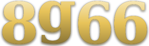8g66 logo